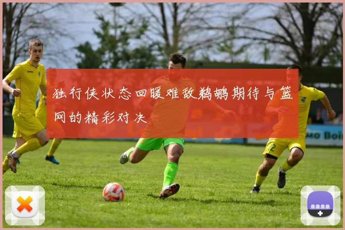 独行侠状态回暖难敌鹈鹕期待与篮网的精彩对决