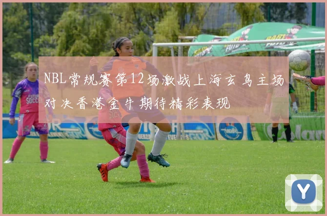 NBL常规赛第12场激战上海玄鸟主场对决香港金牛期待精彩表现