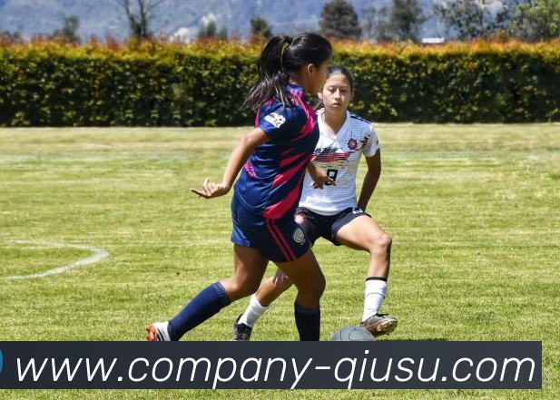 App Interface Preview